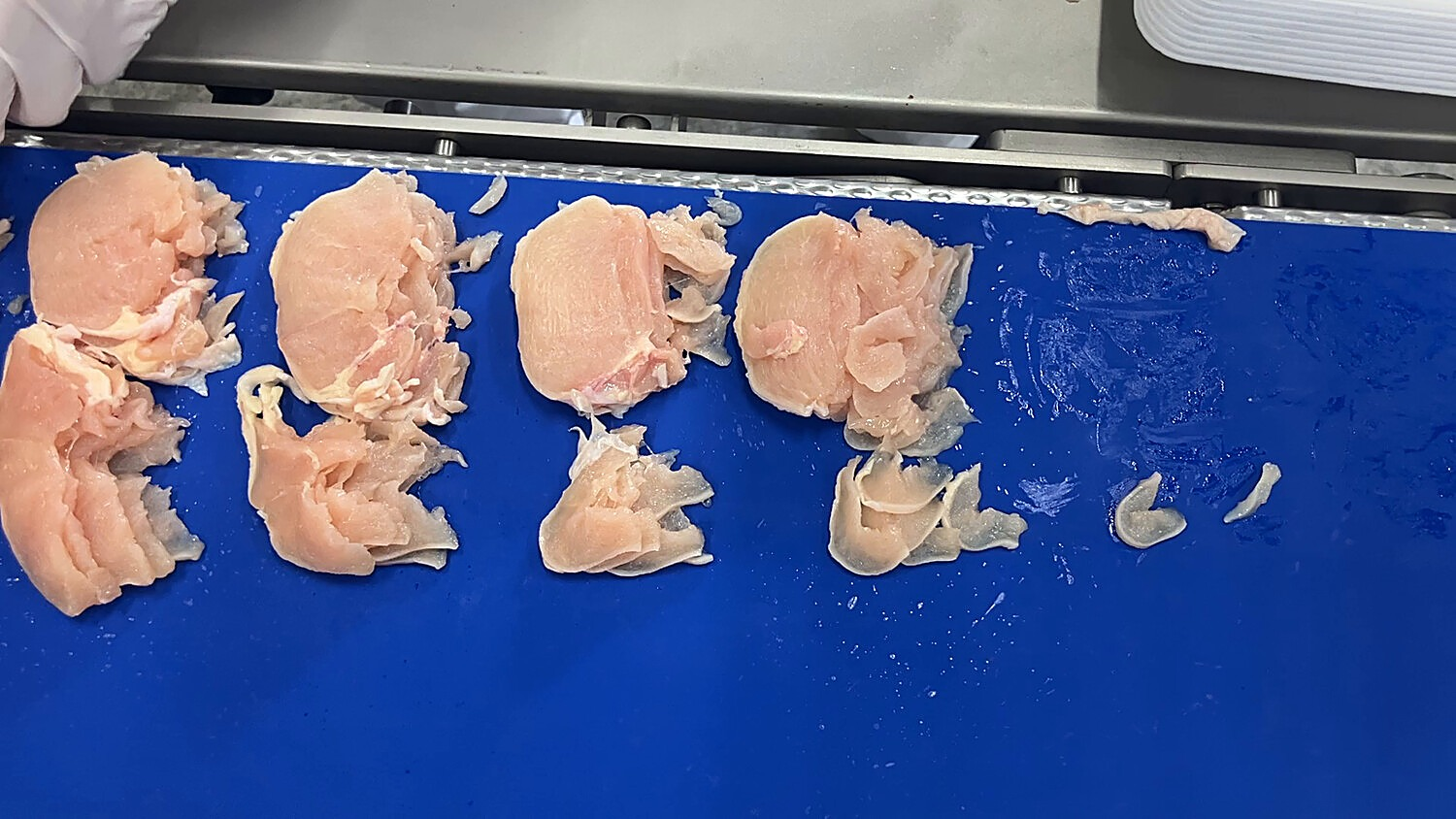Sliced chicken portion being weighed on a digital scale