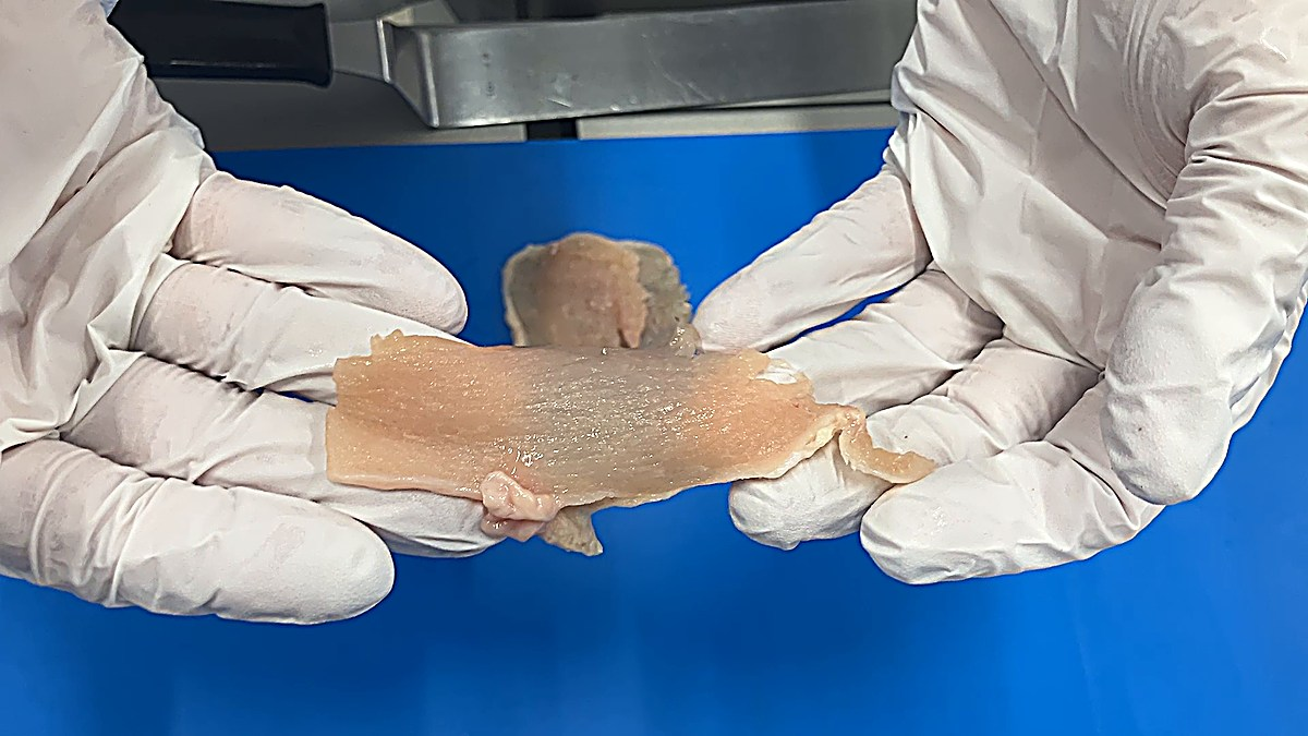 Evenly spaced raw chicken slices delivered down the conveyor on an NCI slicer, showing consistent 3 to 5 mm slice thickness