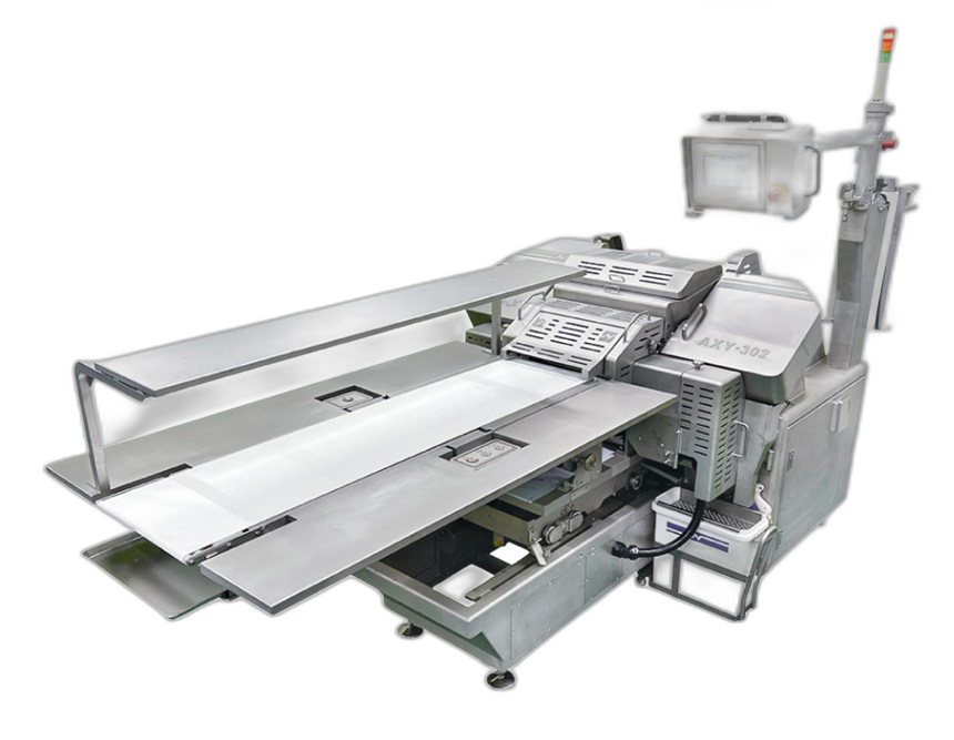 NCI AXY-302CE band-knife slicer, the machine that cut the fresh chicken breast