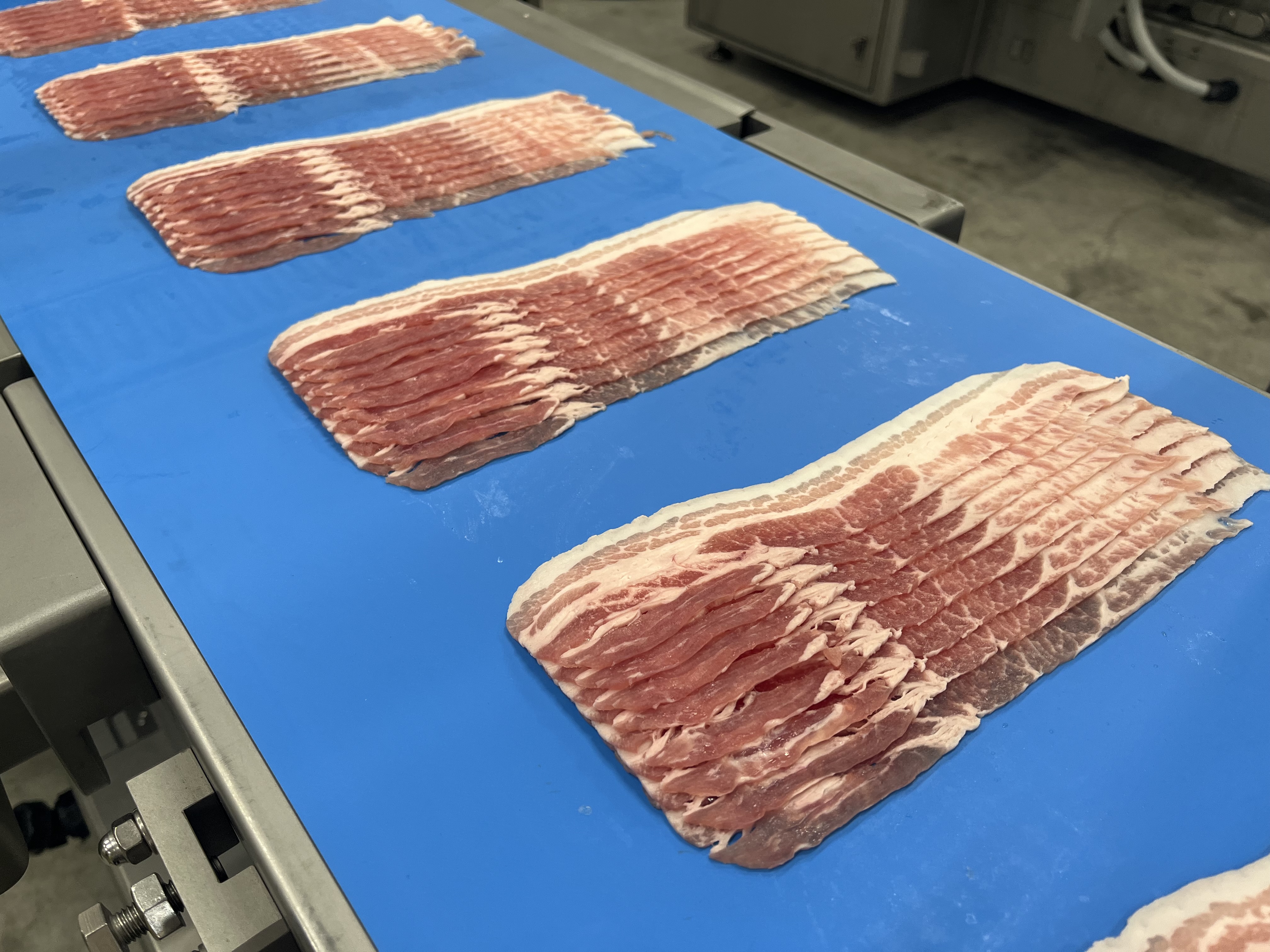 Neatly aligned pork belly slices produced on an NCI slicer